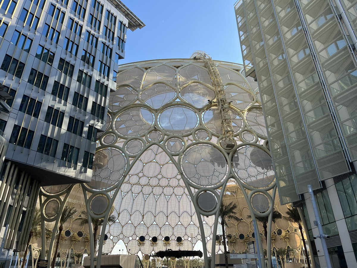 Cat Real Estate tweet media