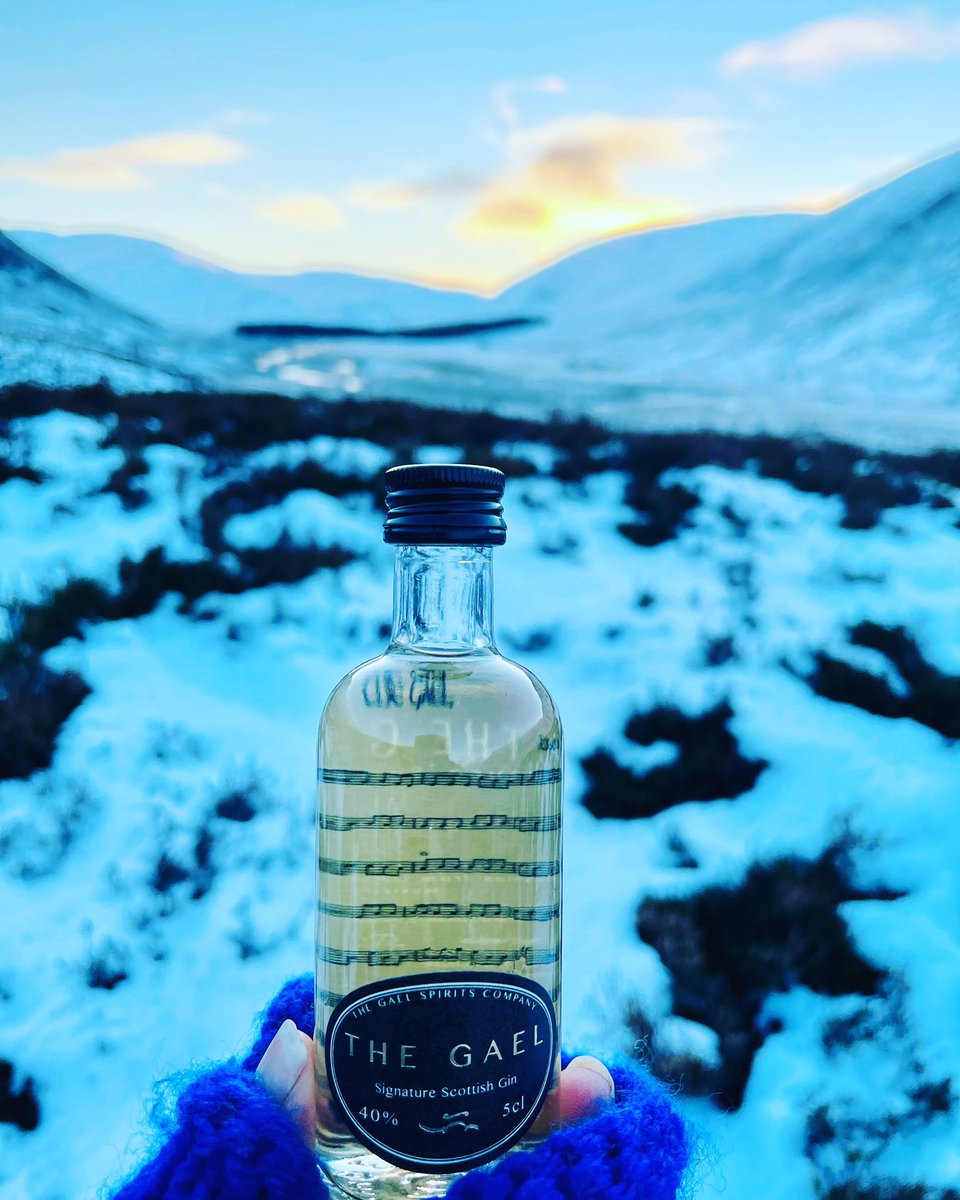 Don’t forget your gloves!❄️......and your mini! 

#chilled #mini #miniature #thegael #singlemalt #scottishgin #scotland