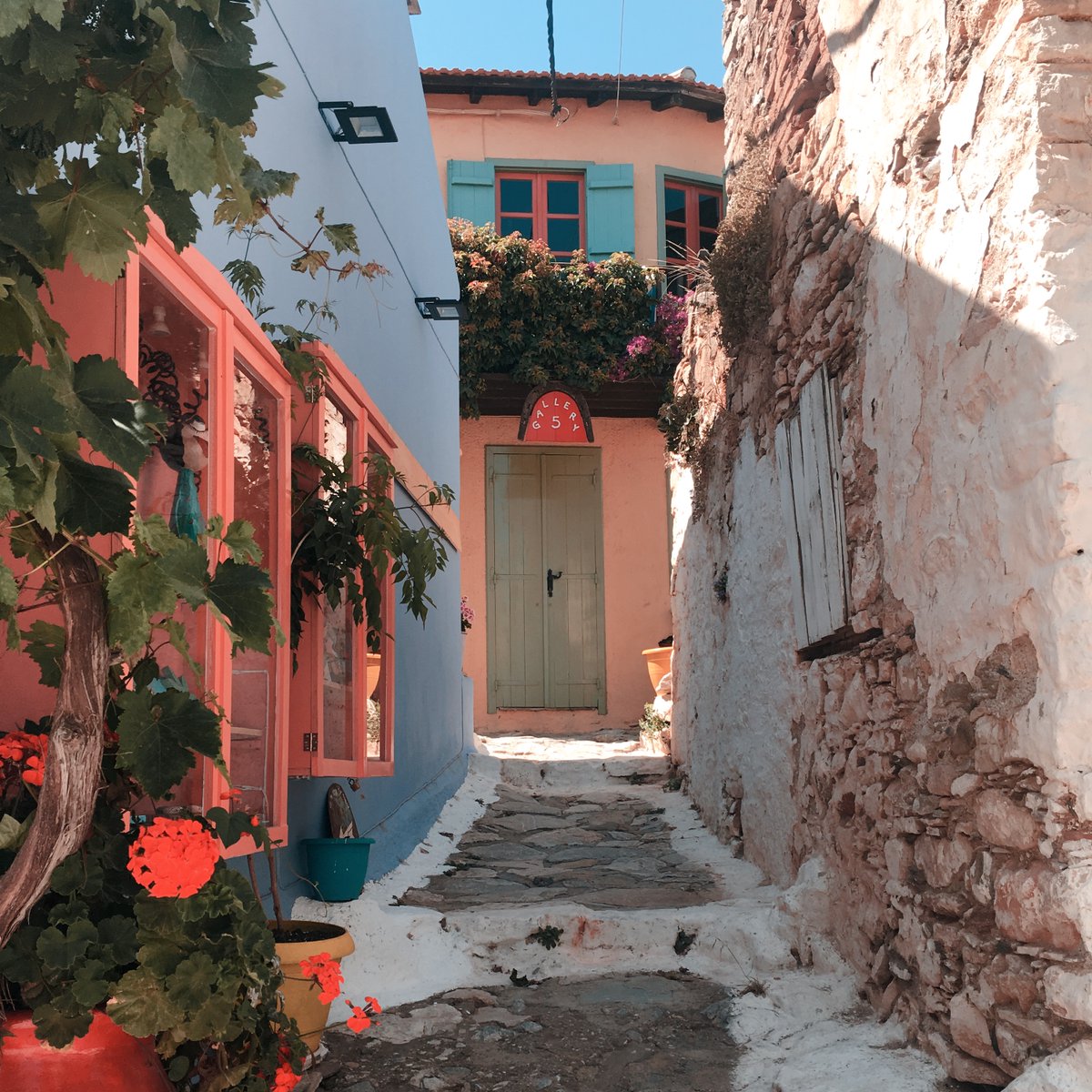 oldziii's tweet photo. NEW DROP - colorful Alonissos, the most chill place on Earth #NFT #NFTs #visitgreece #NFTsale #NFTCommumity #NFTworlds #NFTartist #NFTshill #nftart #nftphotography #nftcollectors 

https://t.co/nLHxXlVMzX https://t.co/sZJ6D7Gkgb