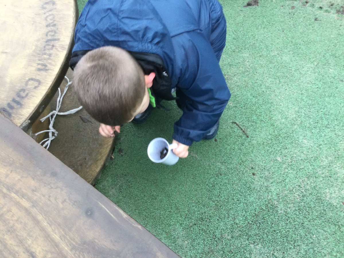 bankier_nursery's tweet image. B was gathering stones, sticks and leaves - “It’s a recipe. I’m making noodles and chips. They’ll be ready in the morning.” Fantastic imaginative play @FalkirkFroebel