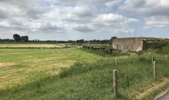 De presentatie van het landschapsplan wordt ook woensdagavond om 19.30 uur gehouden voor raadsleden van @Gemzaanstad <a href="/gem_Uitgeest/">gemeente Uitgeest</a> <a href="/gem_heemskerk/">Gemeente Heemskerk</a> <a href="/gem_Beverwijk/">Gemeente Beverwijk</a> en <a href="/gemvelsen/">Gemeente Velsen</a>. Live meekijken kan via deze link (mogelijk heb je de Teams-app nodig): bit.ly/3zzBJas