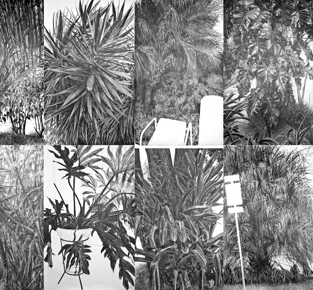ROFZstudio's tweet photo. This #nft is live for auction @withFND #FoundationNFT and is waiting for the first bid!!
Low reserve 0.1 ETH 
1/1 and one of ONLY 14 works from this #nftcollection 
All hand drawn large format charcoal drawings about nature’s Menacing Beauty

https://t.co/HtdKdWxNFY… https://t.co/ErifIEu9in