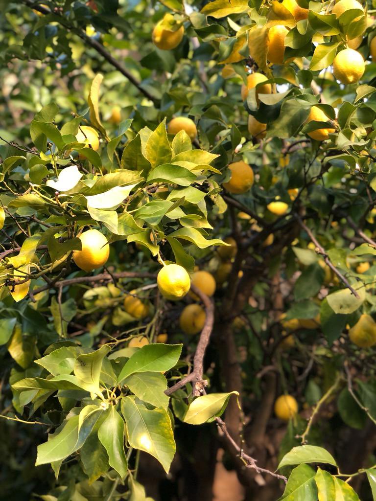 Semana soleada en <a href="/CuacosYuste/">Cuacos de Yuste</a>