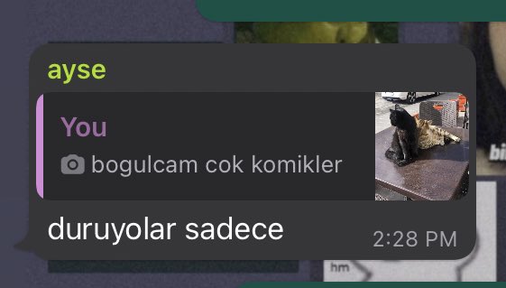 zaten kediler sadece durarak komik olabiljr??$£#*{£]’😞😓😣😭😩