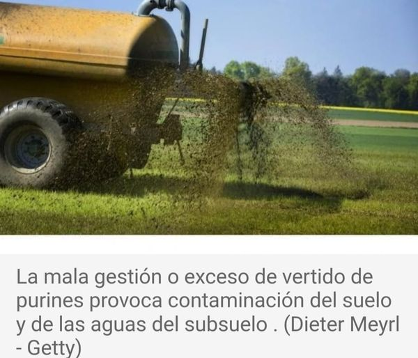 RafikJesus's tweet photo. Estamos rodeados de irresponsables, que solo ven a corto plazo, sin importarles la salud de los ciudadanos.
https://t.co/KgpJXYjWIr https://t.co/IrVuTXeICp