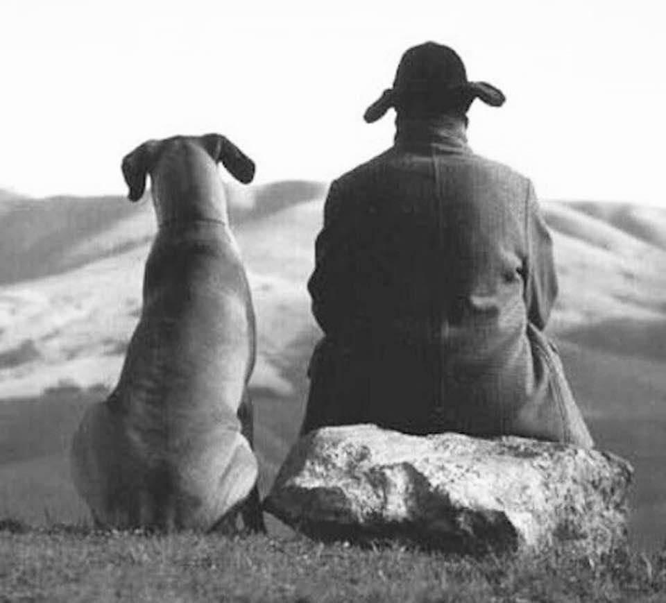 по длинной, дикой, утомительной дороге шел человек с собакой. самые большие собаки. огромный подобный. мастиф зевс. мастиф тибетский мастиф.