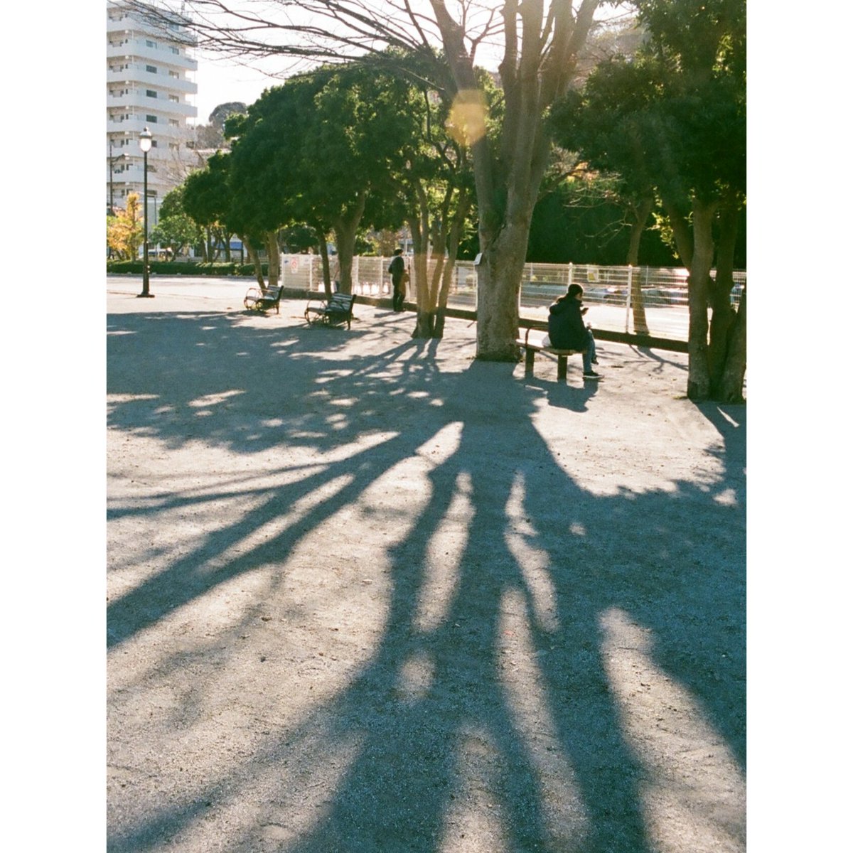 notzo's tweet image. #film #yokosuka #olympus #penf #fujifilm #記録用400