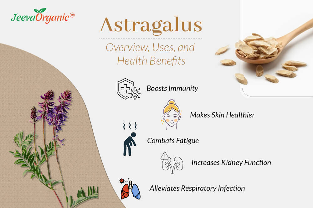 JeevaOrganic's tweet photo. Don’t let common cold rob of your happiness! Astragalus tea can relieve pain, improve respiration, and boost immunity. Check out the A to Z of Astragalus in this comprehensive guide!!
https://t.co/1nziulh6wa
#astragalus #astrag #herbs #astragalusroot #milkvetch #antioxidants https://t.co/PzcN6XfClp