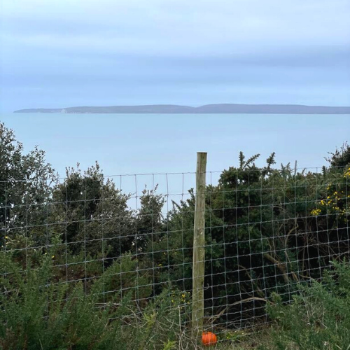 EnigmaSecurity's tweet photo. Beautiful views by the seaside taken by our Managing Director while visiting clients this morning!

#Enigma #Security #EnigmaSecurity #London https://t.co/Ikwu6Eteul