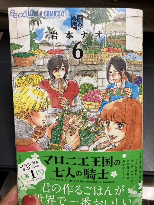 マロニエ王国の七人の騎士6巻も最高にワクワクしたよ…✨スケールのでっかい物語の中にある小さなエピソードのひとつひとつが無駄なく全部素敵でほんと好き!今回30ページすぎたとこですでに泣いた(早い) 