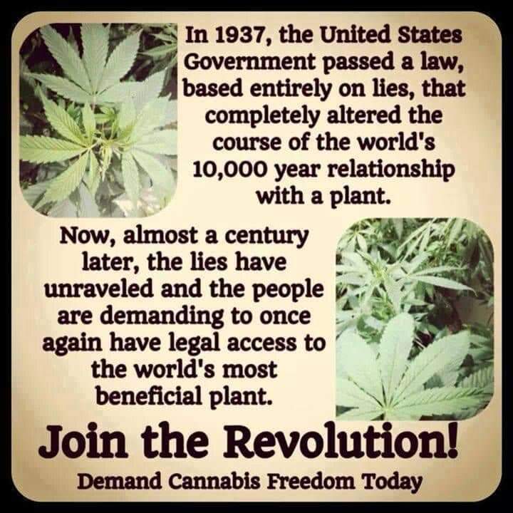 :>}_~#WakeNBake #StonerFam #StonerCircle #MMOT #IAmCannabis #WeAreCannabis #FuckCancer #StayWoke & ALL #STONERS ~HappyMonDazed~