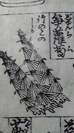 笋蘿蔔 