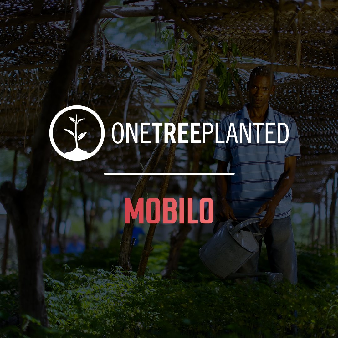 mobilodigital's tweet photo. Help us save the planet, one tree at a time. For each wood card you purchase, Mobilo will plant a tree through our @OneTreePlanted partnership🌳
Get your Mobilo from: https://t.co/RpymWuNfkc
#Mobilo #MobiloWood #DigitalBusinessCard #BusinessCard #Networking #TheEcoFriendlyChoice https://t.co/l6kMaHrX8k