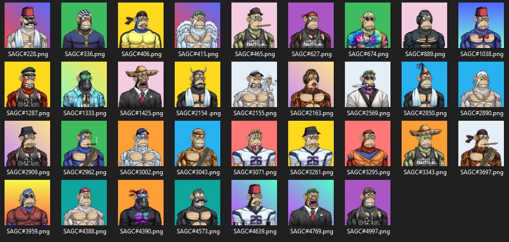 web3ie's tweet photo. 🔥UPDATE🔥 There are now 34 SAGC in my Collection🦍Get them LIVE on presale RN!🍌@ShreddedApes RT! https://t.co/un1hbZhhat