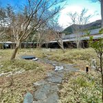 ツイートに含まれる画像