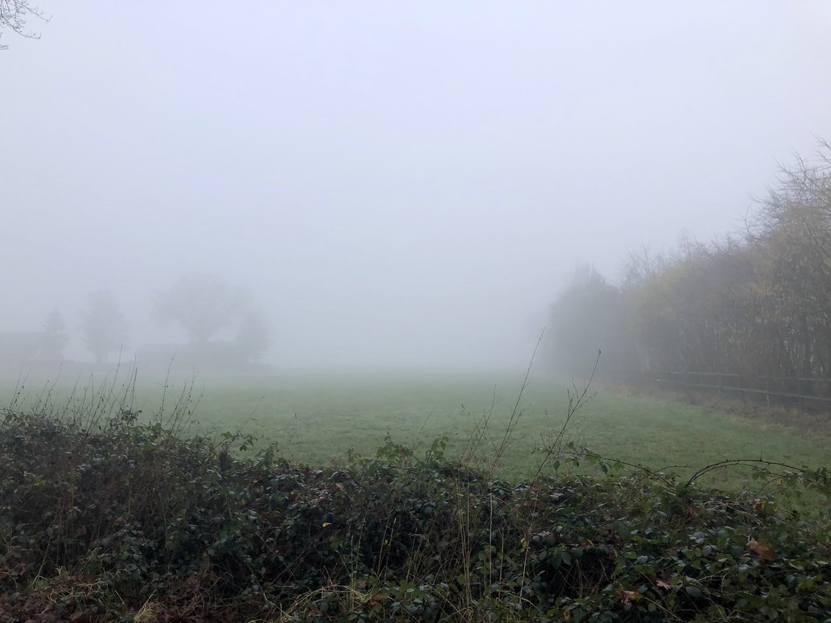 IngridKeestra's tweet photo. #nolandscape #nofilter #mooiTwente https://t.co/WKa3FITaWa