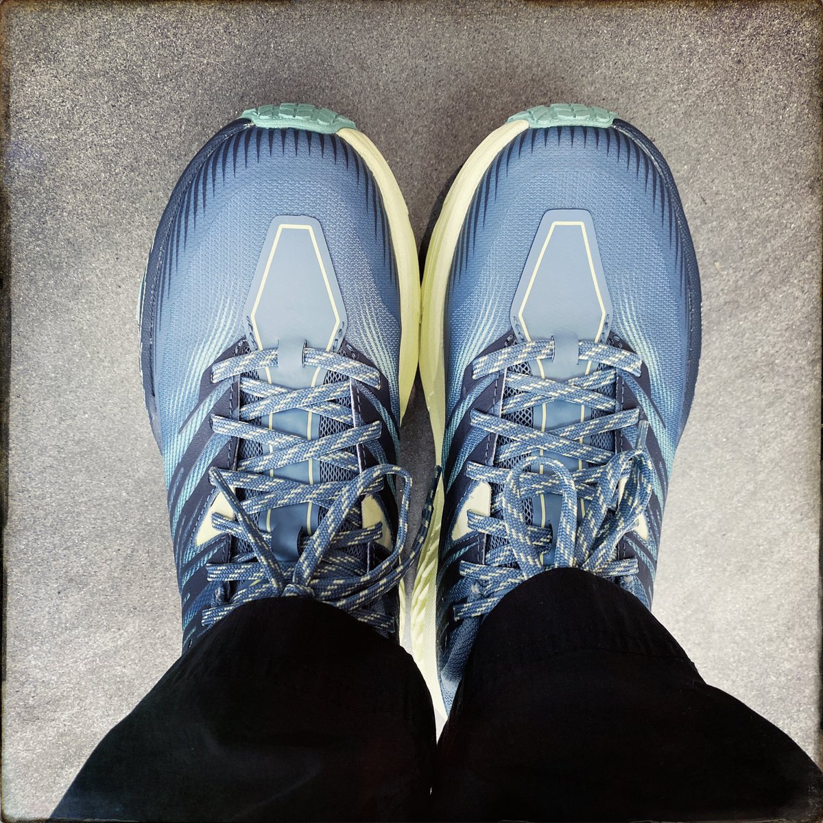 Prof Alice Roberts💙 tweet media