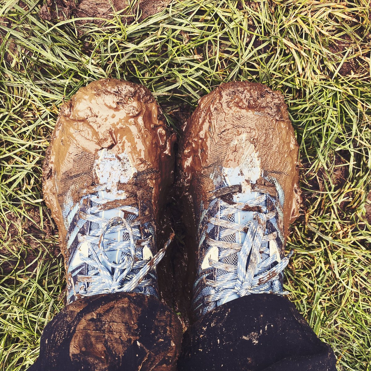 Prof Alice Roberts💙 tweet media