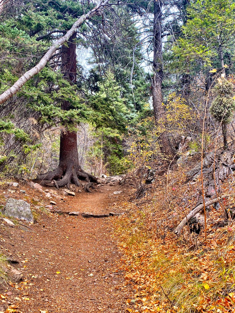 2022!! Time to start clocking trail time!