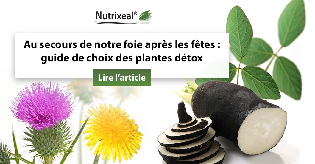 Guide de choix des plantes #détox : buff.ly/3q191fi
Découvrez les plantes détox qui viennent au secours de notre #foie après les #fêtes !
#complementsalimentaires  #nutraceutique #Nutrixeal #chardonmarie #radisnoir #pissenlit #desmodium #chrysanthellum