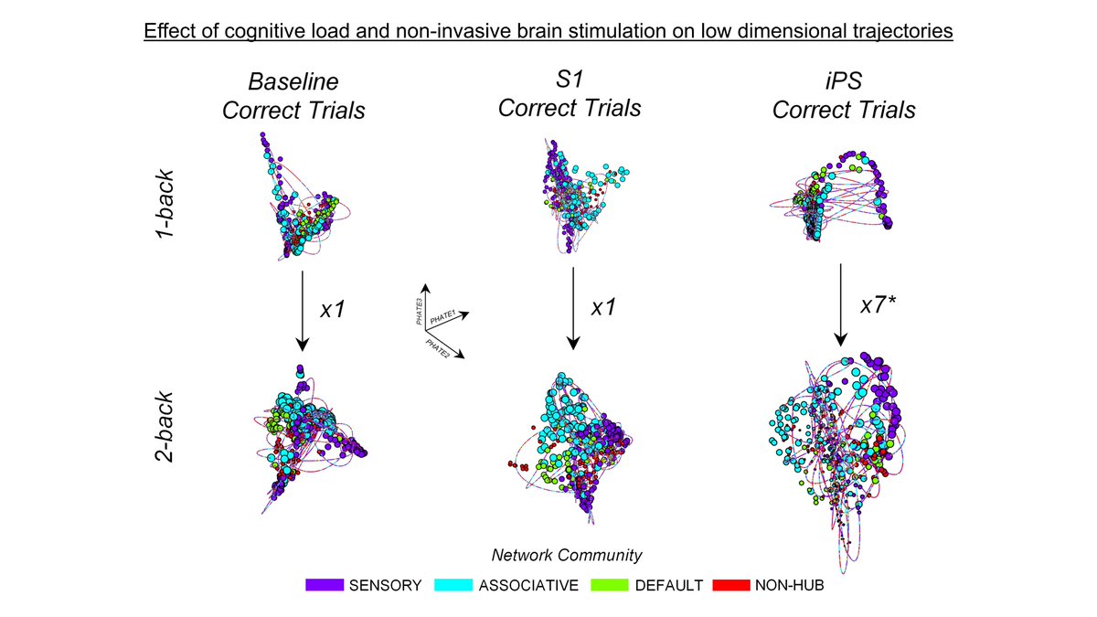 Our new study on how focal neural perturbations reshape low-dimensional whole-brain trajectories of activity supporting cognitive performance, is now out in @NatureComms @SpringerNature. With @LucaCocchi78, @jmacshine, @kaihwang12 Link👇 nature.com/articles/s4146…