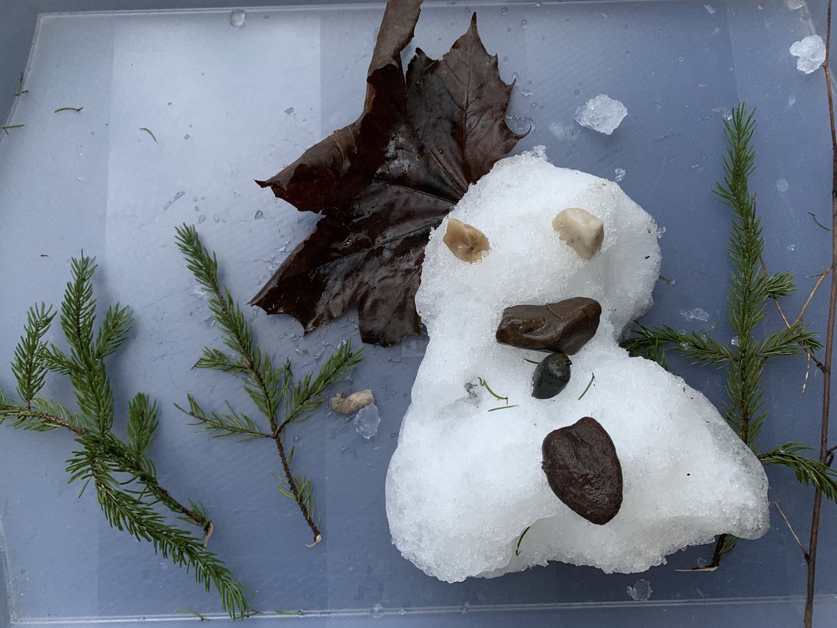 Jackieinwd's tweet photo. Play idea #1 Find some loose parts in or outside of your house (buttons, lids, rocks, sticks, etc.). Use them to make a picture!Would love to see your creation so feel free to take a picture and send it to me. Here is what I made. :) #nspreprimary https://t.co/BuMMA0WqtR