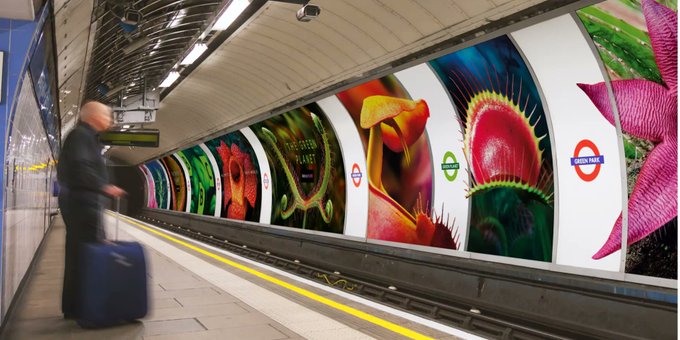 Andrew Bloch tweet media