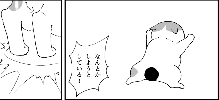 新作の猫漫画、こんな感じの描きます。
自分で描いておきながら…体型そっくり…。

この漫画はこちらの『猫ちゃん実録コミックアンソロジー』に掲載予定です。
https://t.co/rnHUvBuY7T 