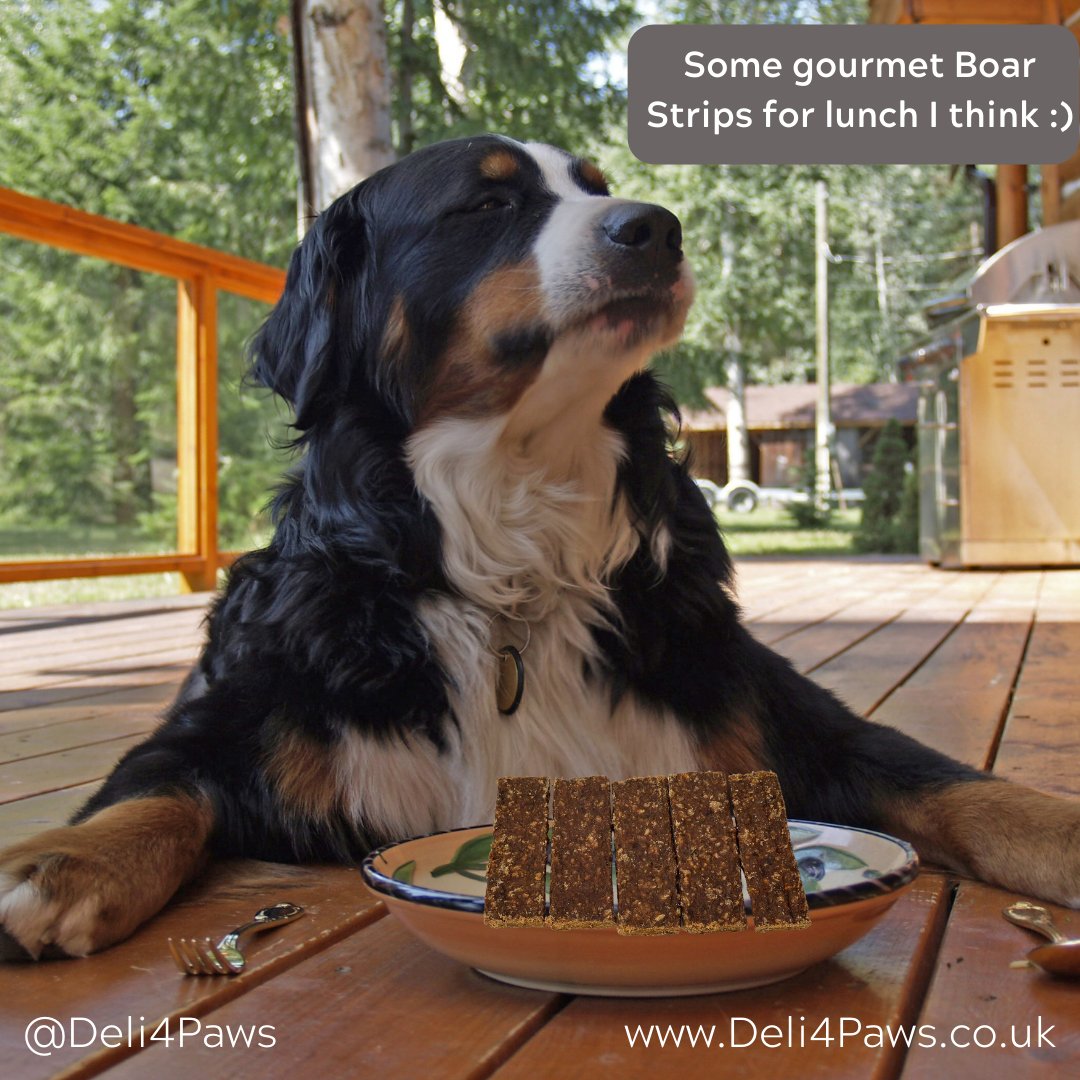 New treats have dropped onto the website, 100% natural Boar, Duck, Venison, Rabbit &amp; Lamb strips moulded into flat strips 😊

Visit Deli4Paws.co.uk to view our full range of cat and dog treats.

Happiness in a box!

#Deli4Paws #Smallbizuk