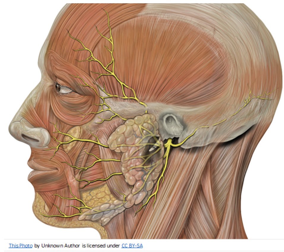 Jodi Allen (@jodiallenslt) on Twitter photo A little question for the #AHP world of Twitter… are there any Speechies #SLT #slpeeps out there trained to deliver Botox injections for #sialorrhea? <a href="/wespeechies/">WeSpeechies</a> <a href="/RCSLTLearn/">RCSLTLearn</a> 👅💦 A little question for the #AHP world of Twitter… are there any Speechies #SLT #slpeeps out there trained to deliver Botox injections for #sialorrhea? <a href="/wespeechies/">WeSpeechies</a> <a href="/RCSLTLearn/">RCSLTLearn</a> 👅💦