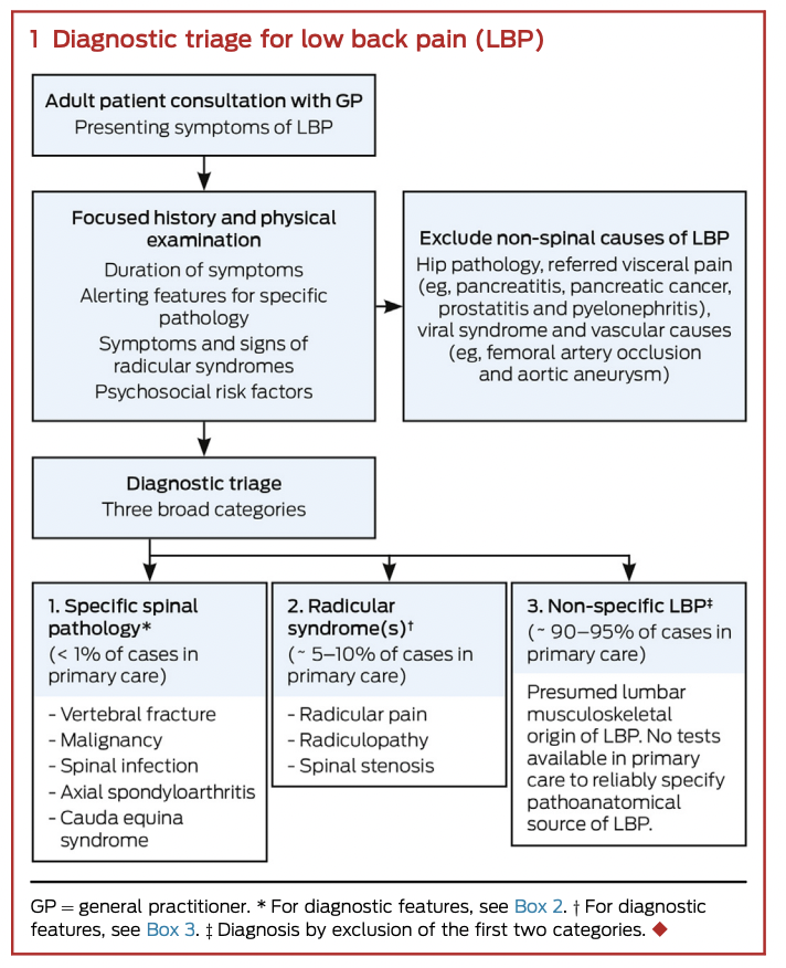 ClinicianBetter's tweet photo. January is Non specific back pain month at the BCP 

Here is a paper looking at diagnosis &amp; management of NSLBP

"Diagnostic triage for low back pain: a practical approach for primary care" - Bardin 2017

https://t.co/4APCgdCoDc https://t.co/r2e8wWvnHQ