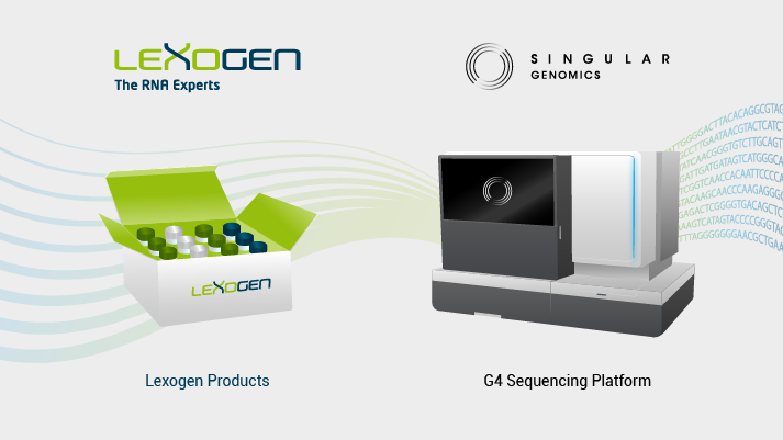 lexogen's tweet photo. We are pleased to announce our partnership with @SingularGenomic, a company leveraging NGS and multiomics technologies to empower researchers & clinicians. Their G4 sequencing platform will be compatible with our #RNAseq kits: #QuantSeq, #CORALL, #LUTHOR. https://t.co/W20DQ0RoTo https://t.co/MtUwkqLifS