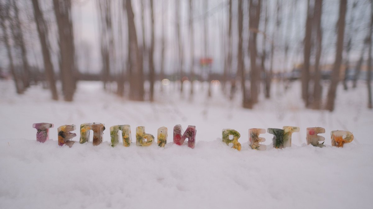 Linden Tar (@lindentar) on Twitter photo 