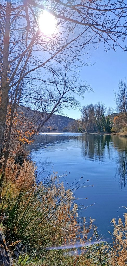 AFotoaficionado's tweet photo. Oye Íñigo @mongeleon, hoy estoy en esta cuenta y he visto que toca #azul en tu proyecto, hoy #2de52
¿Te valen estas? alguna urbana para cambiar un poco
#Soria (España)
📸AlbertoCP
#UnaFotografíaALaHora
Por aquí las dejo, majetes😁 https://t.co/aTOIoboEOd