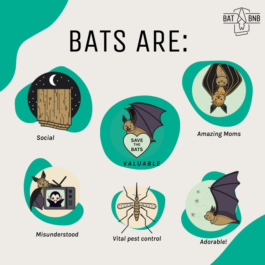thebatbnb's tweet photo. What else can we add to this list? https://t.co/J8fkUctWEq