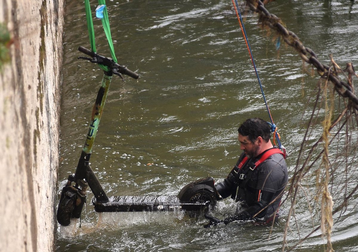 einzige tier im rhein