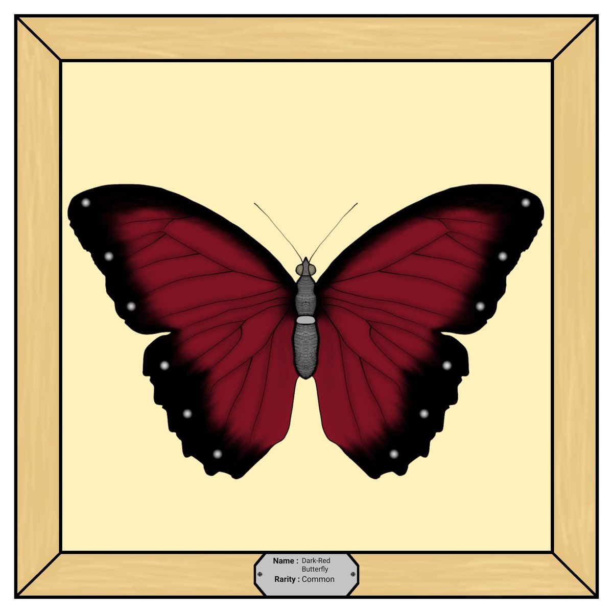 Butterfly__NFT's tweet photo. @Tot_SamiyNFT https://t.co/AvXzIq42VT