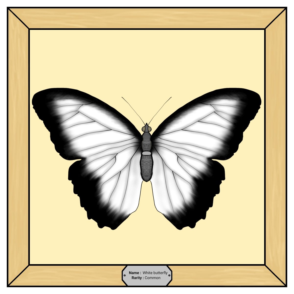 Butterfly__NFT's tweet photo. @aegean2356 https://t.co/OMfCJP0Qcf