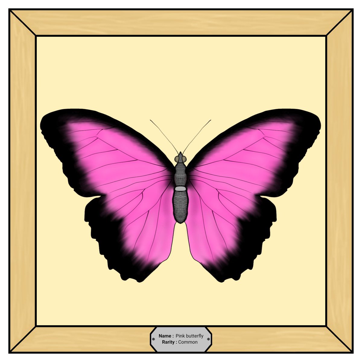 Butterfly__NFT's tweet photo. @MrsMarlaa https://t.co/JvVQxptowU