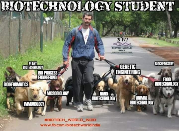 btworldindia's tweet photo. Condition of Biotechnology Student 

Retweet/Share of you agree!!!

@btworldindia 

#biocommunity #biotechworldindia #biotechnology #biosciences #Biology #biodiversity #biotechworld

Jai Hind https://t.co/ffT70mSRVZ