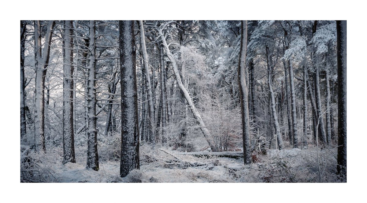 ShutrRelease's tweet photo. Got some snow the other day but nearly every road out to the mountains was jammed so local it was #fsprintmonday #southlanarkshire #Scotland https://t.co/Abk3GKbebt