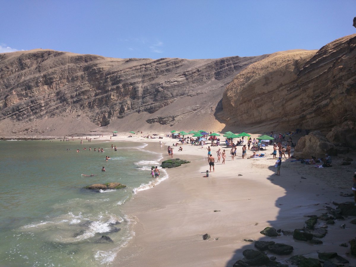 Viajando Waldo tweet media