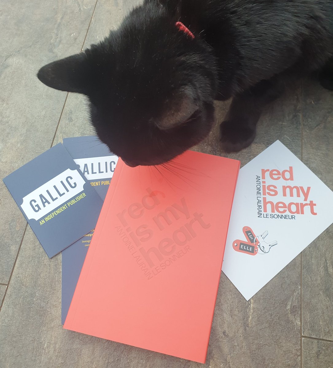 ScribblerJB's tweet photo. Delighted with my #bookpost from the lovely people at @BelgraviaB, as is my cat! This is going to the top of the pile #RedIsMyHeart https://t.co/ERHrxHKFhg