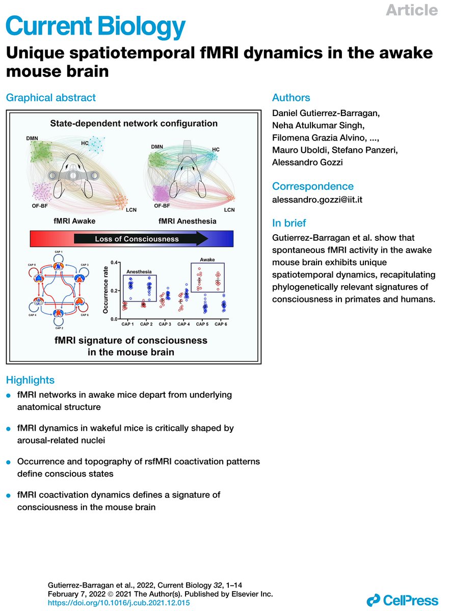 Out today in <a href="/CurrentBiology/">Current Biology</a> our latest work (tinyurl.com/2p8k83b4) where ➡️we establish robust methods for awake mouse fMRI ➡️reveal an evolutionarily-relevant "fMRI signature of consciousness" in rodents. Many thanks and congrats to <a href="/danielgb_87/">Daniel Gutierrez-Barragan</a> &amp; lab! Brief summary below🧵