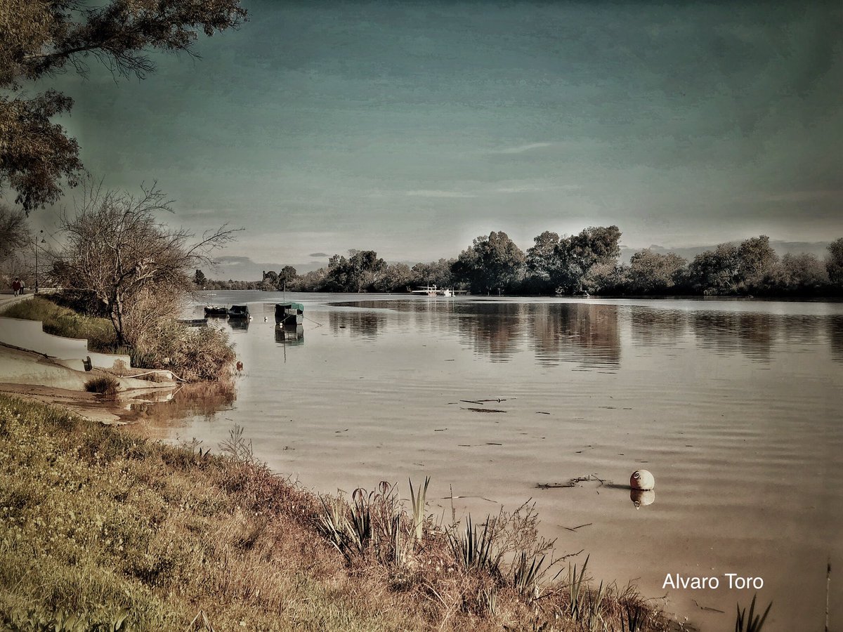 alvarotoro94's tweet photo. Río Guadalquivir, Espejito de plata
#CoriadelRio #RioGuadalquivir https://t.co/WSQ9T3hiQB