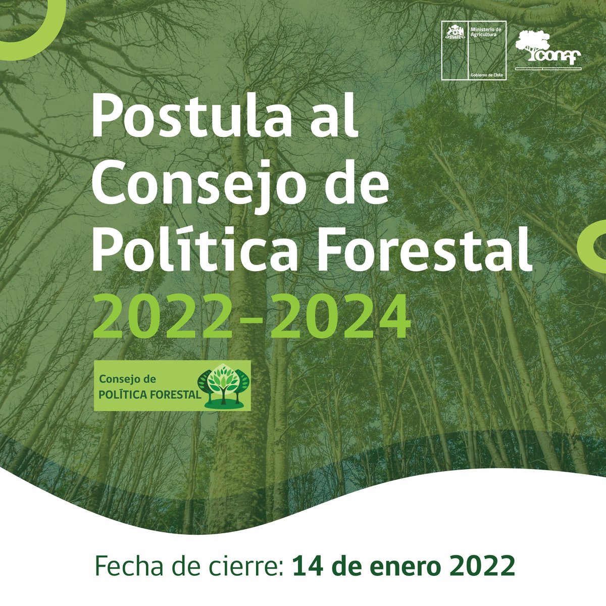 ¡Últimos días! ⚠️ Hasta el 14 de enero, puedes postular al Consejo de Política Forestal periodo 2022-2024, cuerpo colegiado público-privado-académico que tiene el objetivo de analizar y definir los temas del presente y del futuro del sector forestal.

➡️conaf.cl/nuestros-bosqu…
