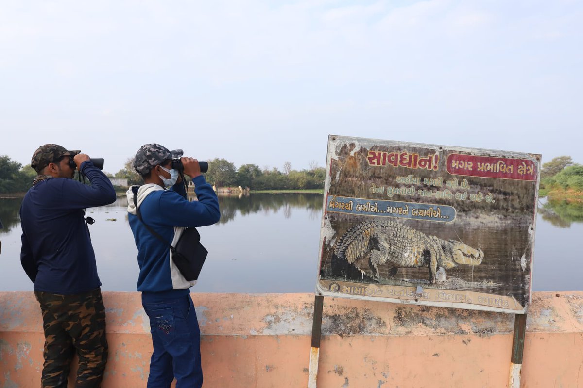 vncindia's tweet photo. 2/2

We covered many wetlands of Charotar (Anand-Kheda Districts). Here are some glimpses from the event.

#CCC2021 
#CrocWatch 
#CrocodileConservation 
#CitizenScience 
#VNCINdia
#VNCUSA https://t.co/APuzUImujG