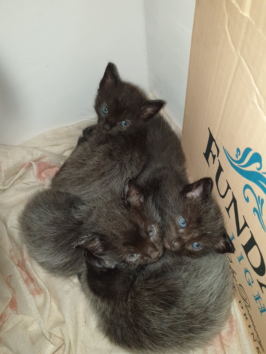 rainwhether's tweet image. 