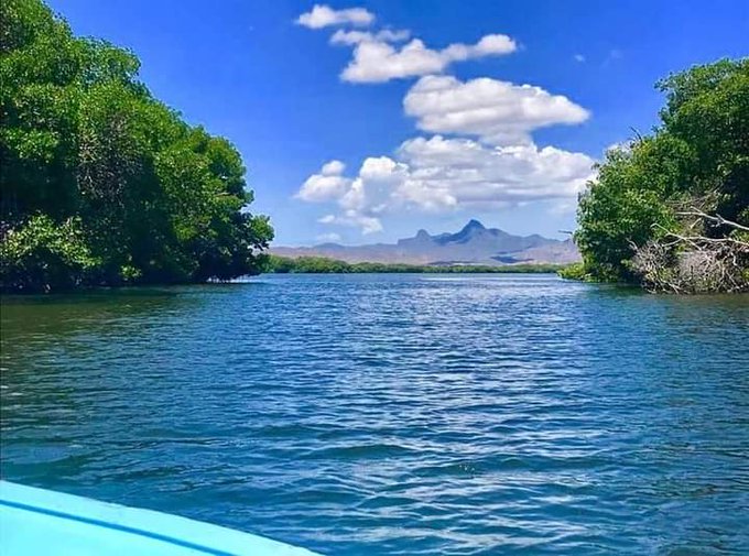 Felipe494Rojas's tweet photo. #FelizInicioDeSemana #islademargarita #lagunalaRestinga #2022 https://t.co/YcryMrfKaK