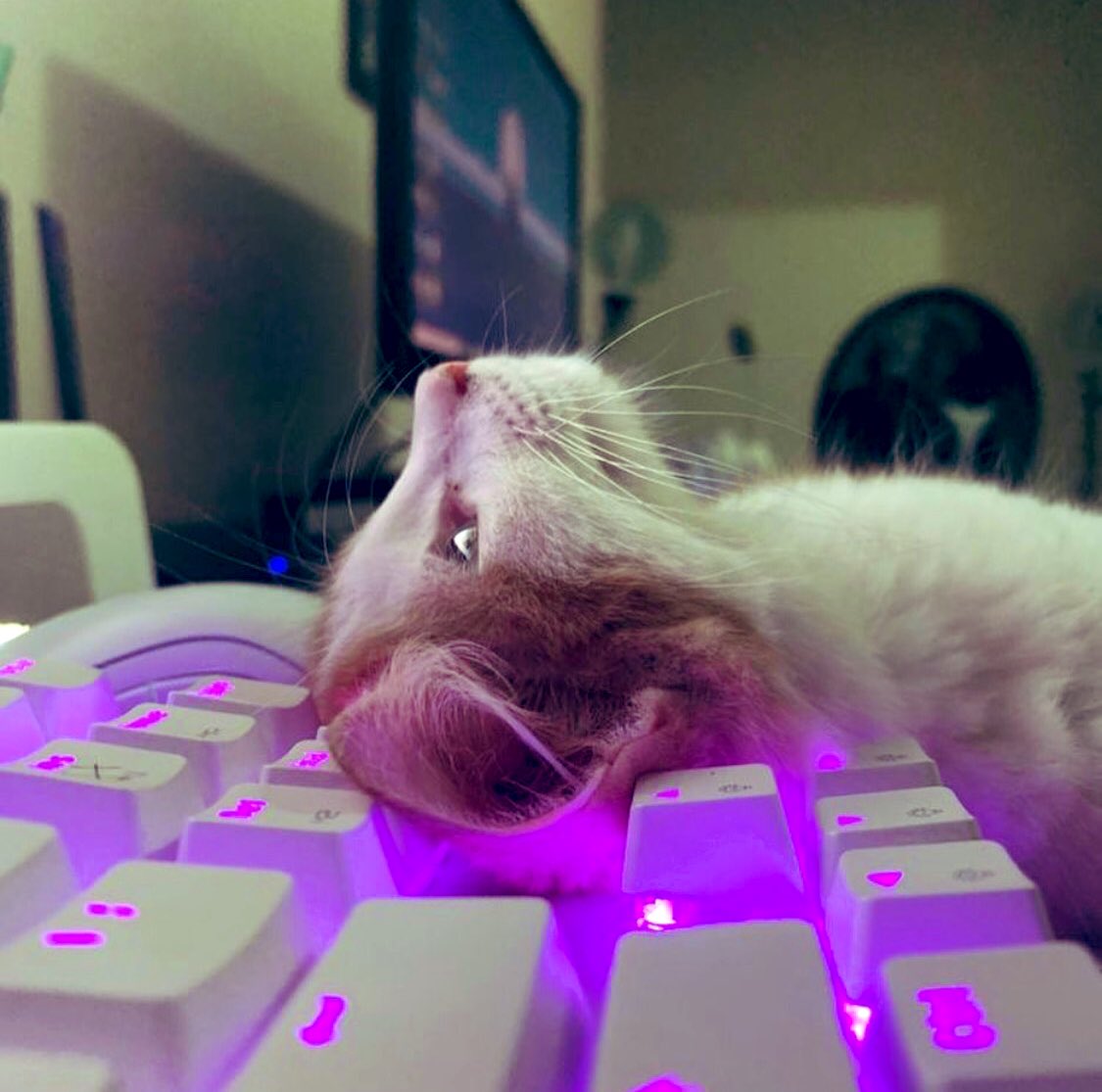 OpenAcademics's tweet photo. Me after writing one email😩 #AcademicTwitter 

(image via IG/whole6ome) https://t.co/pkQlIKV8au